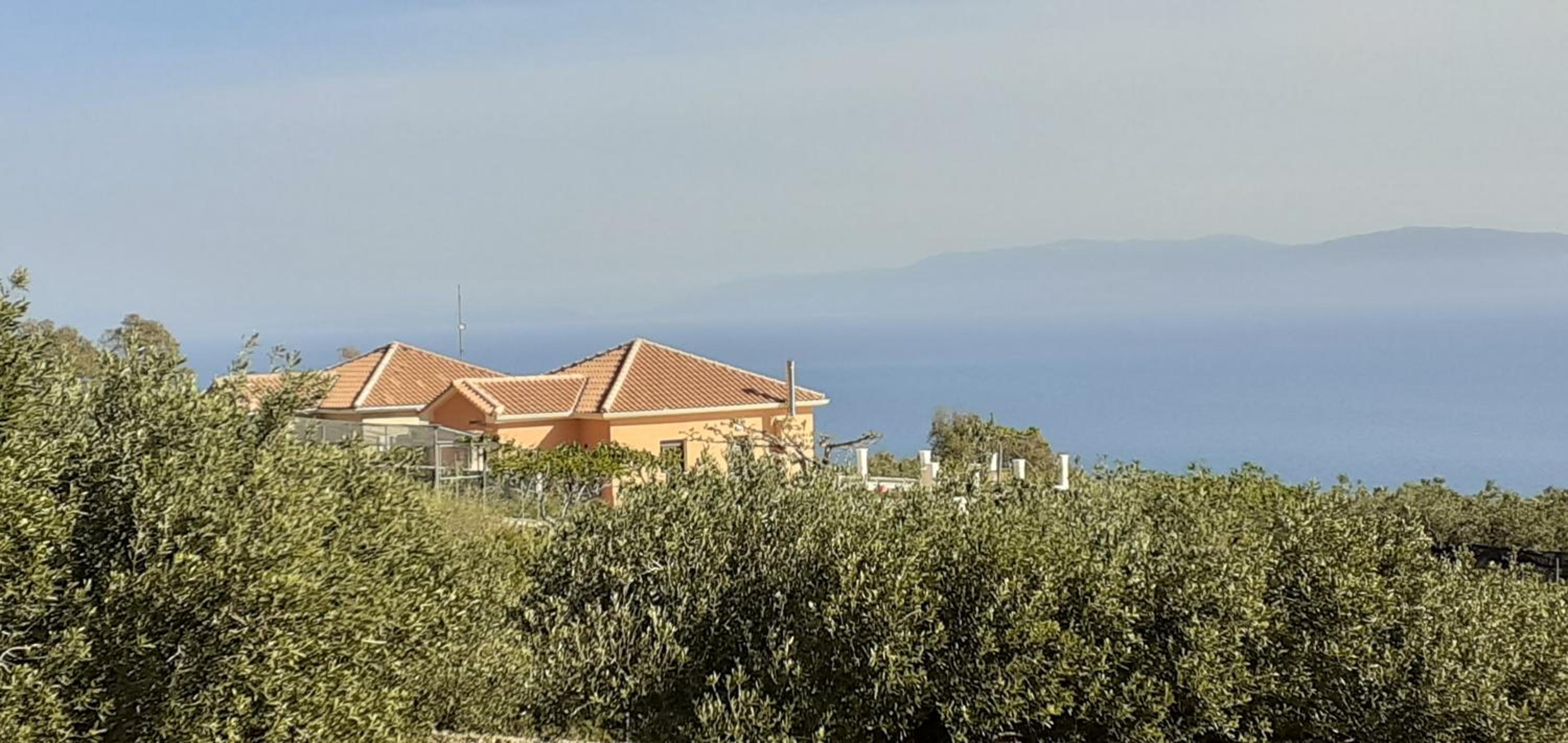 Hotel Liocharis Akro
