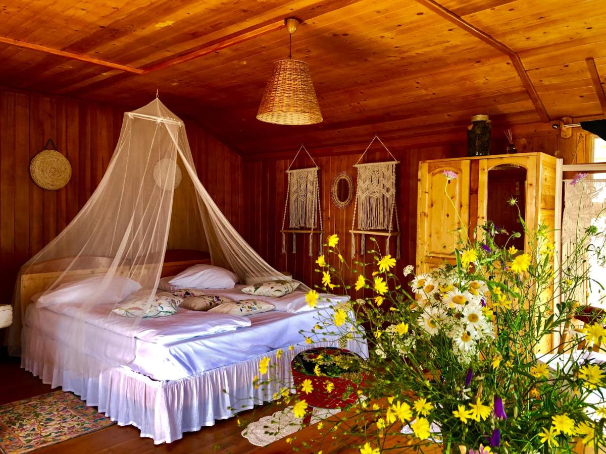 Hotel Dream Tricule