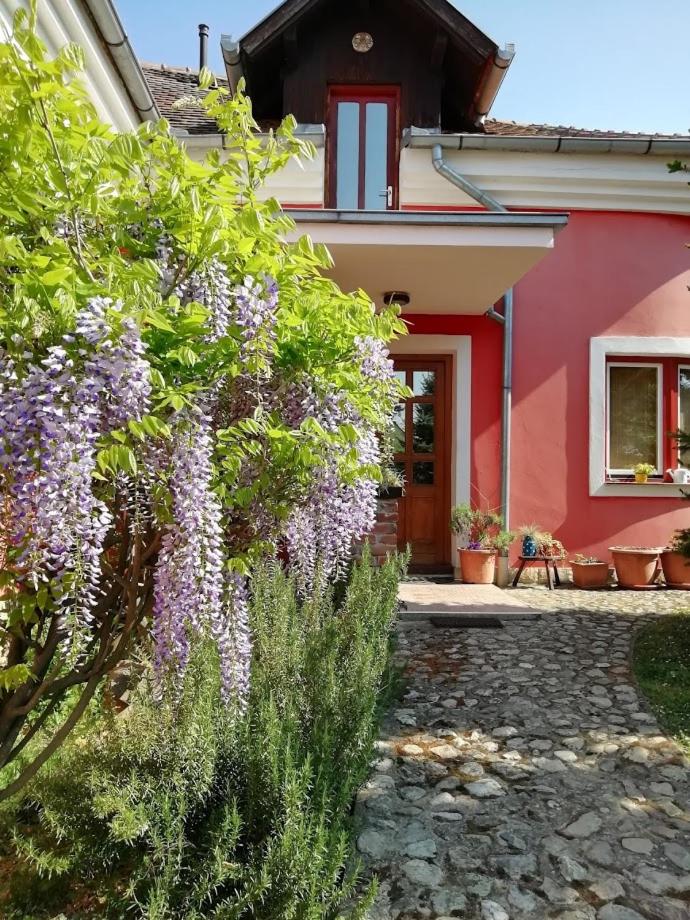 Hotel Villa Holiday Home Kuca Za Odmor Slavonka