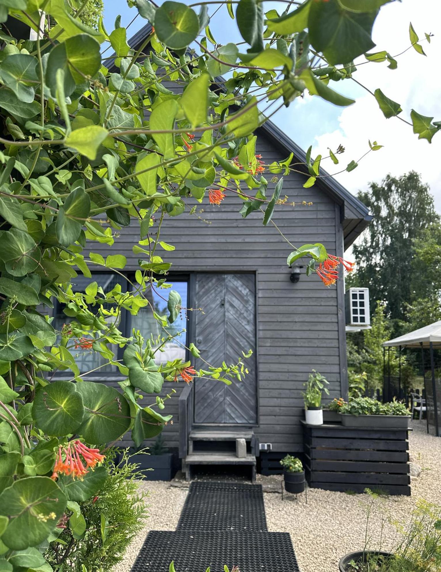 Hotel Amazing Little House With Garden On An Island.