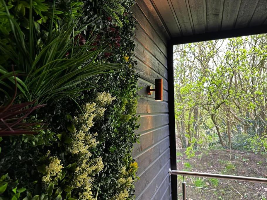 Hotel Badger At Owlet Hideaway - With Hot Tub, Near York