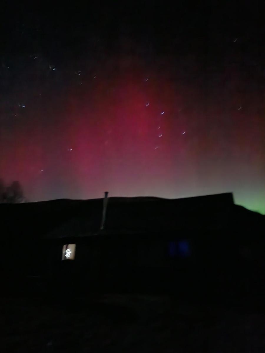 Hotel Birch Hollow, Fort William With Outdoor Fire Pit