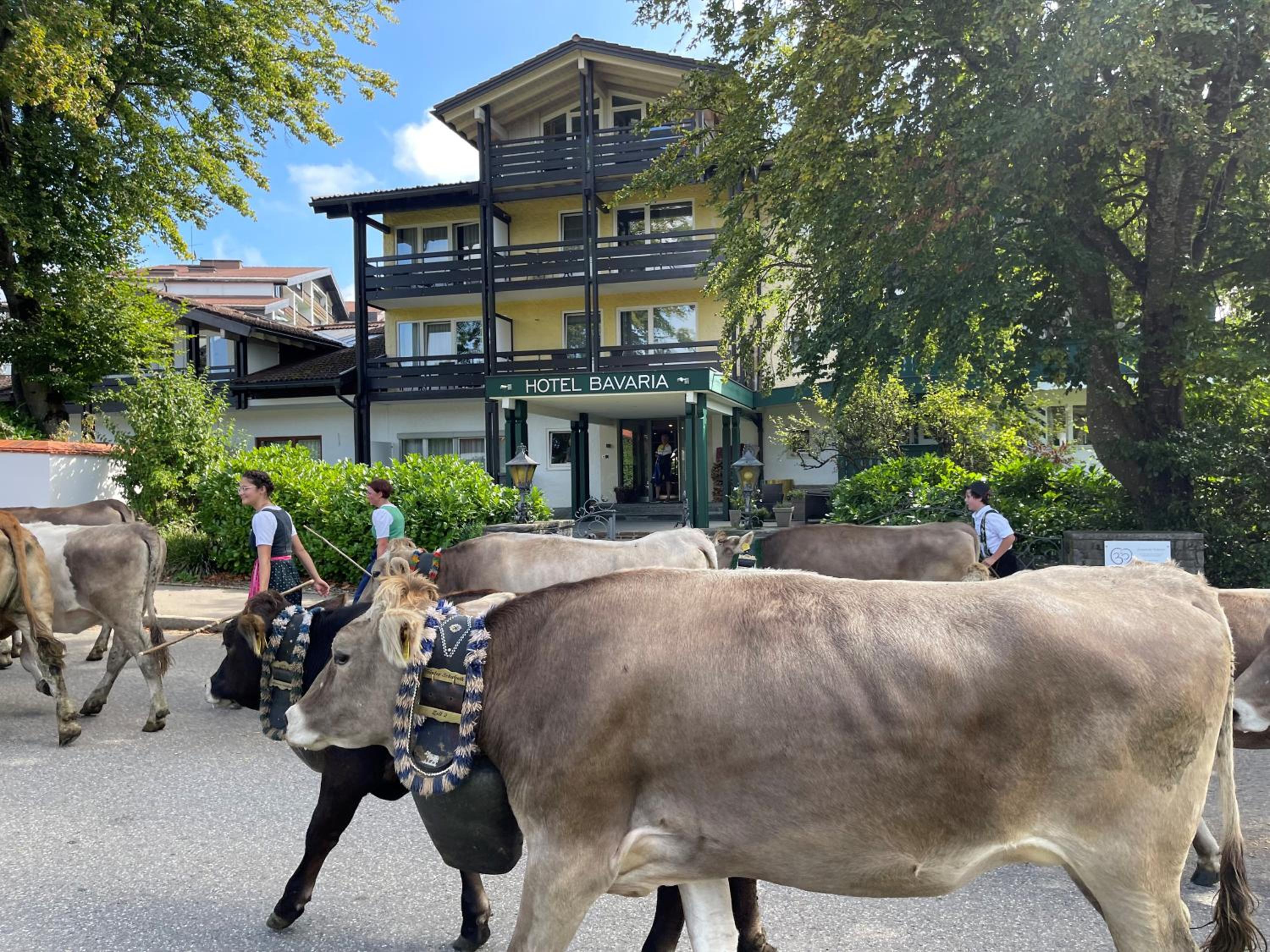 Hotel Bavaria - Partnerbetrieb von Oberstaufen PLUS