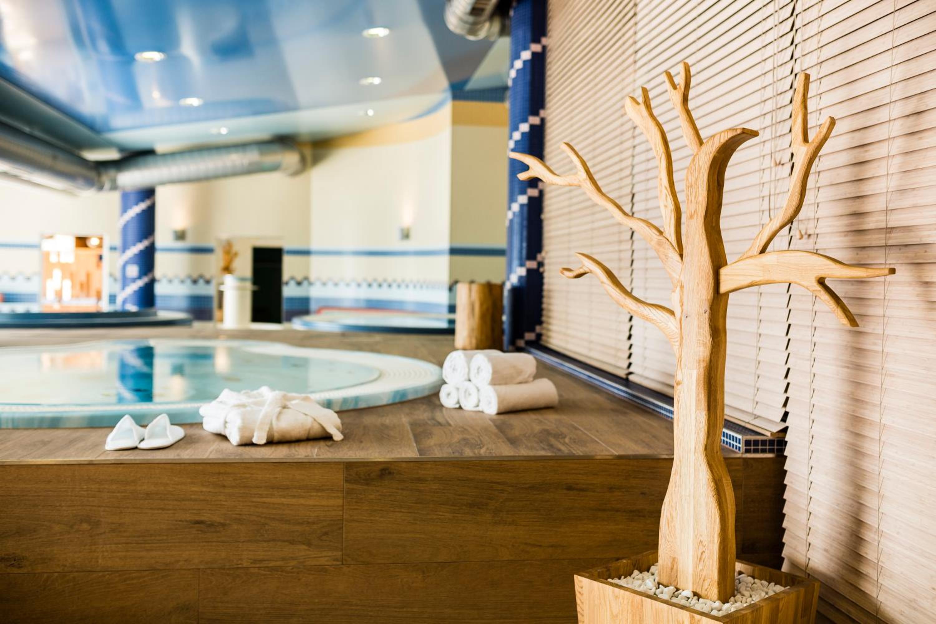 Hotel Amenity Hotel & Resort Lipno