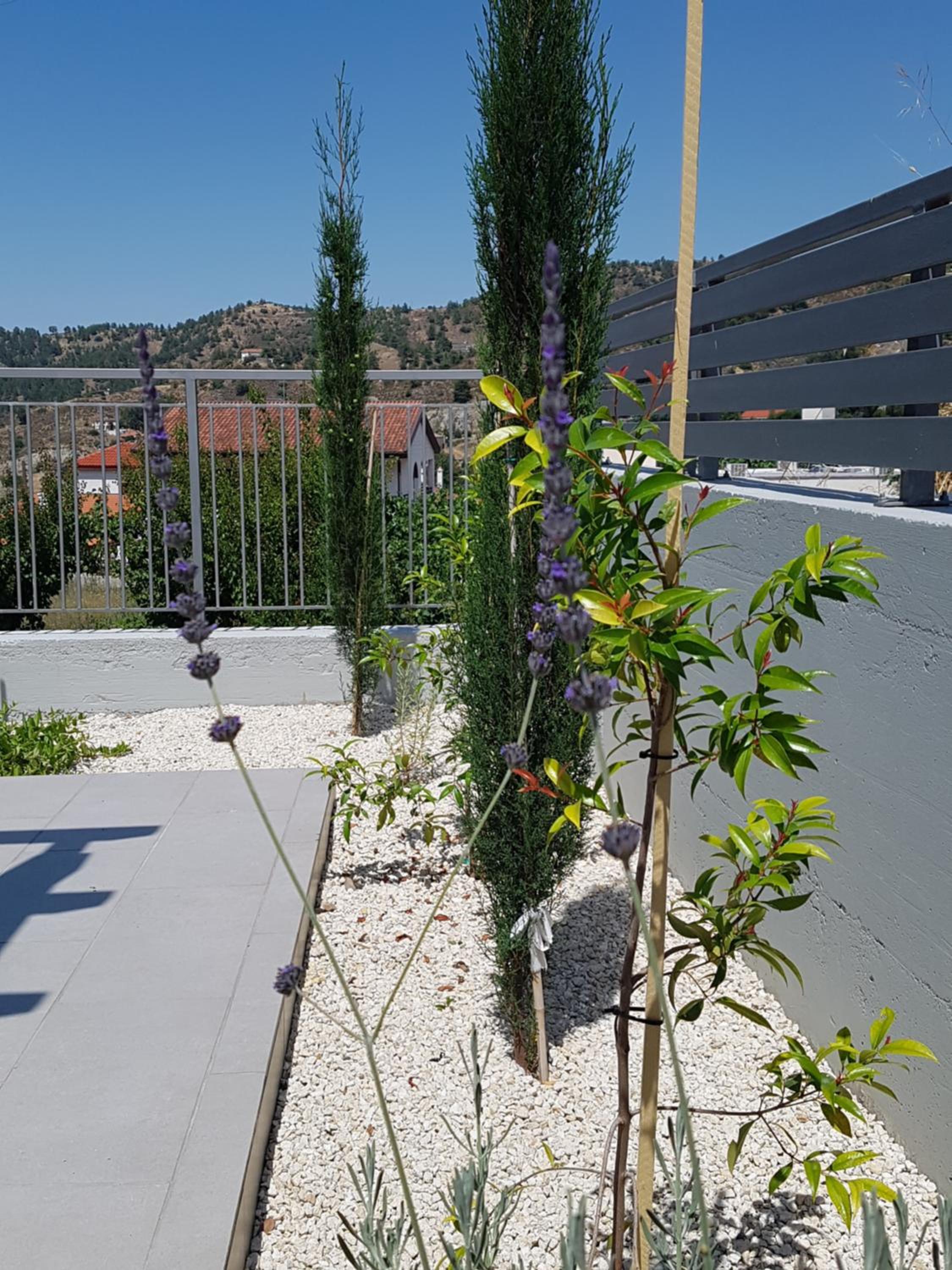 Hotel Evmelia Kakopetria Suites