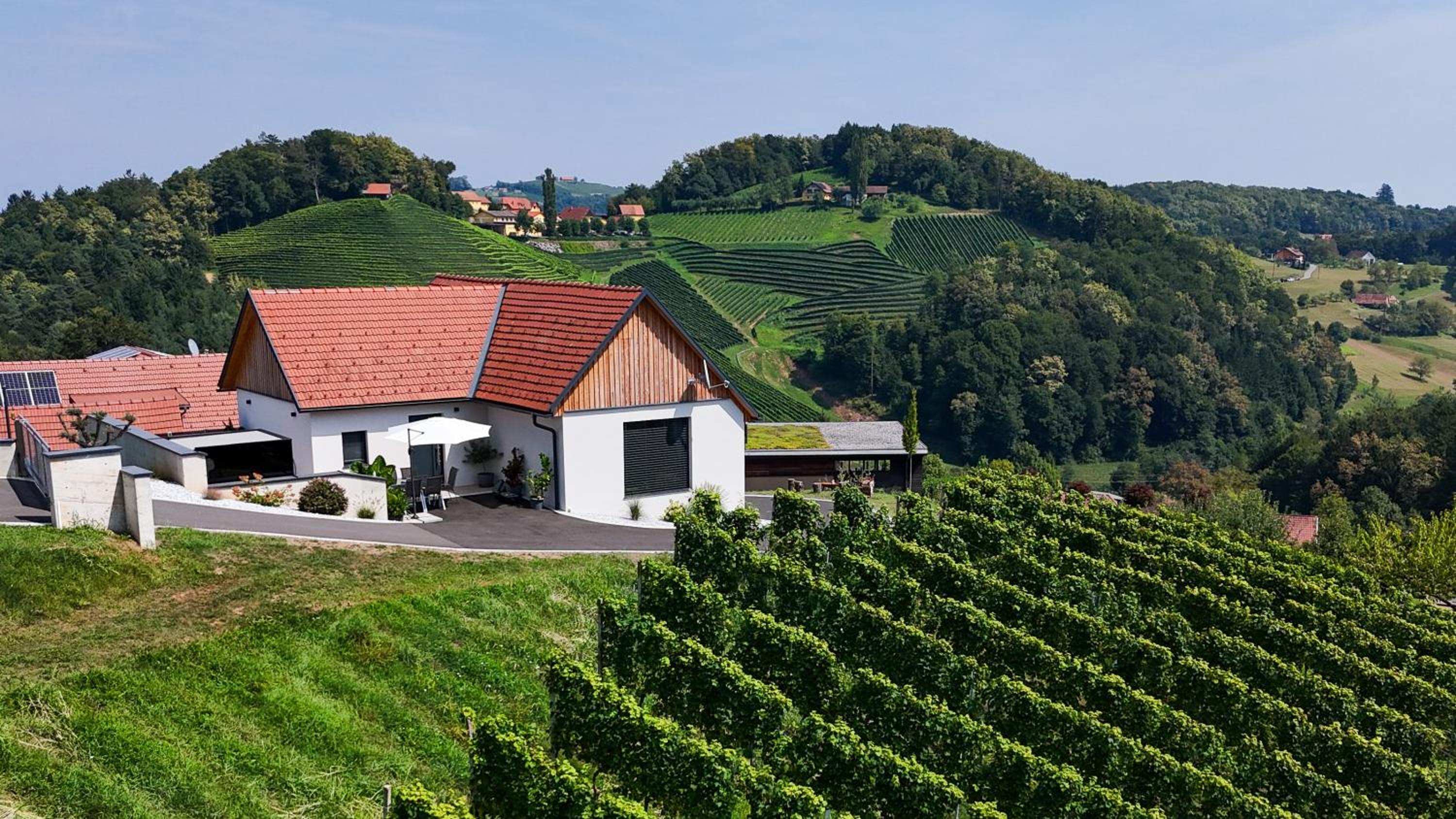 Hotel Chalet Sgarz