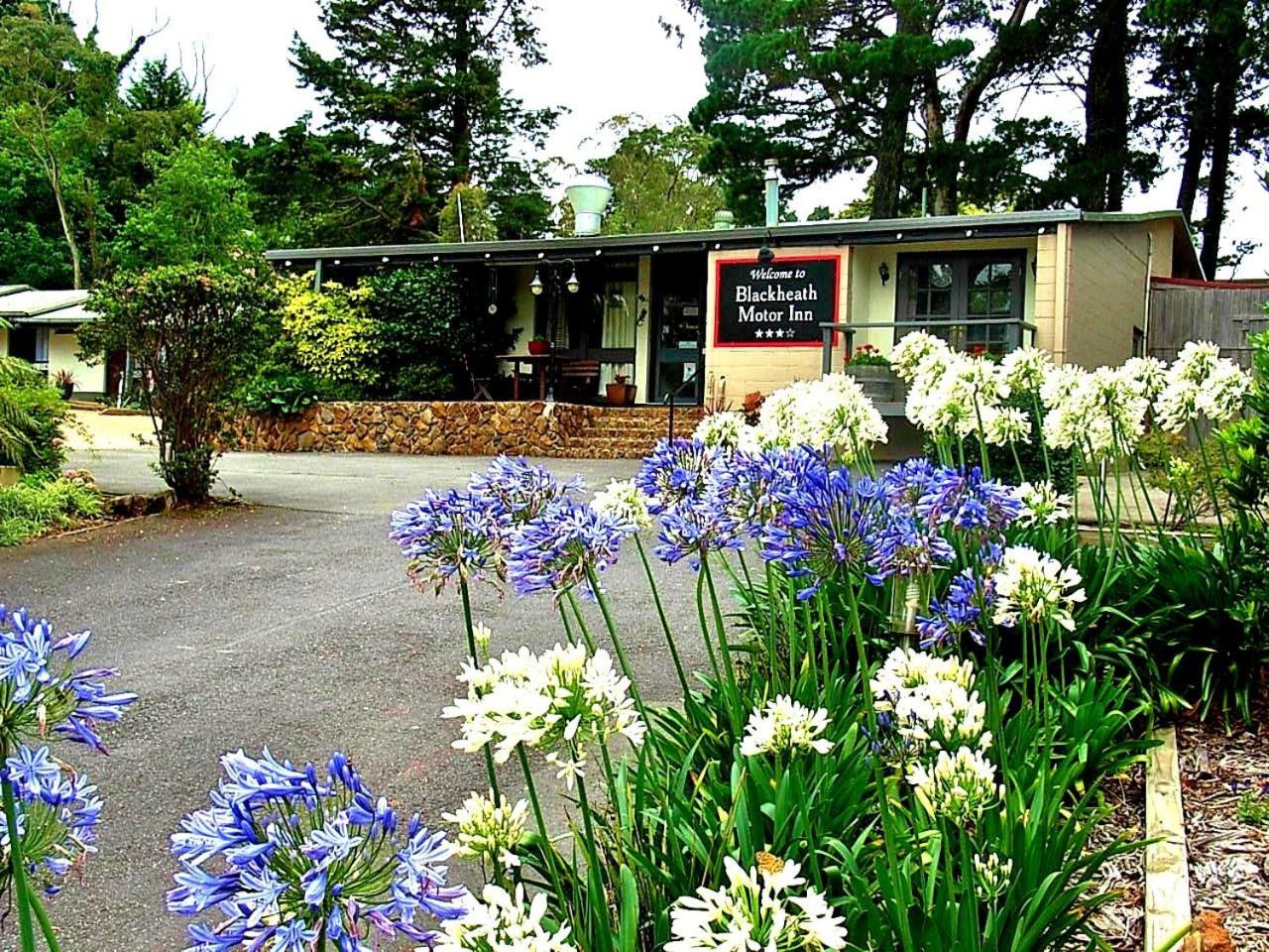 Hotel Blackheath Motor Inn