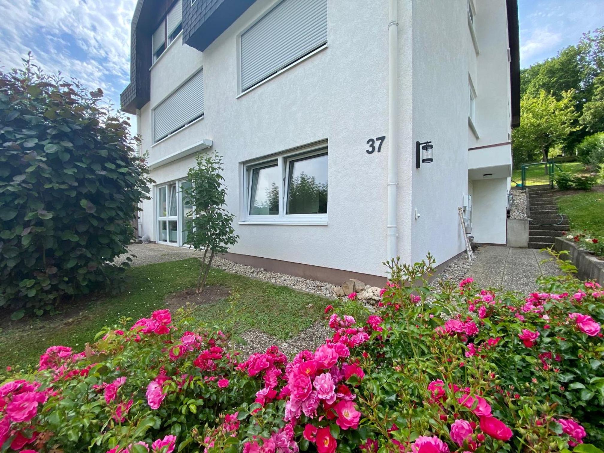 Hotel Neu: Ferienwohnung Zum Nussbaum - Landhausstil & Moseltalblick