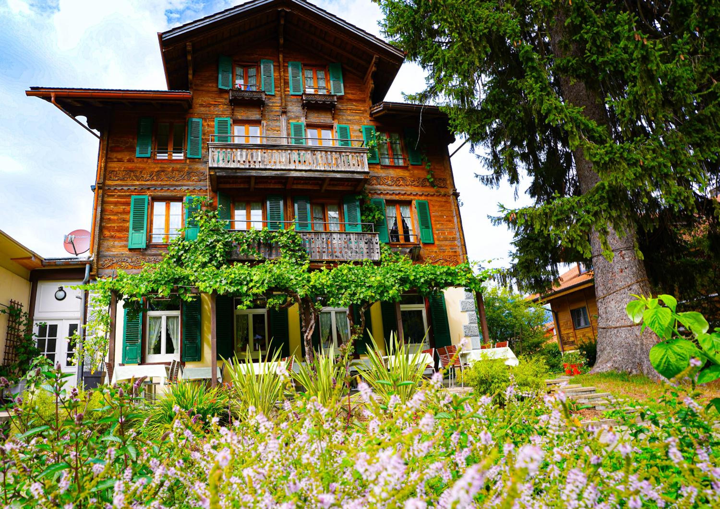 Hotel Edelweiss Lodge