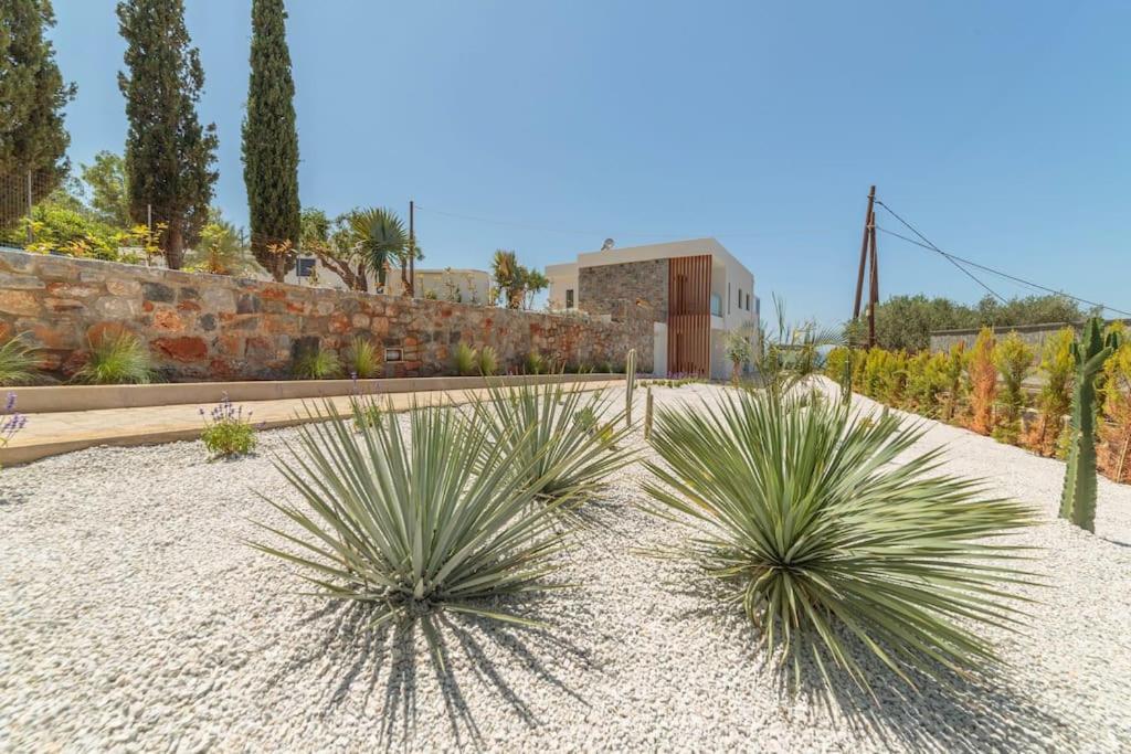 Hotel Thea Villa Santa Marina