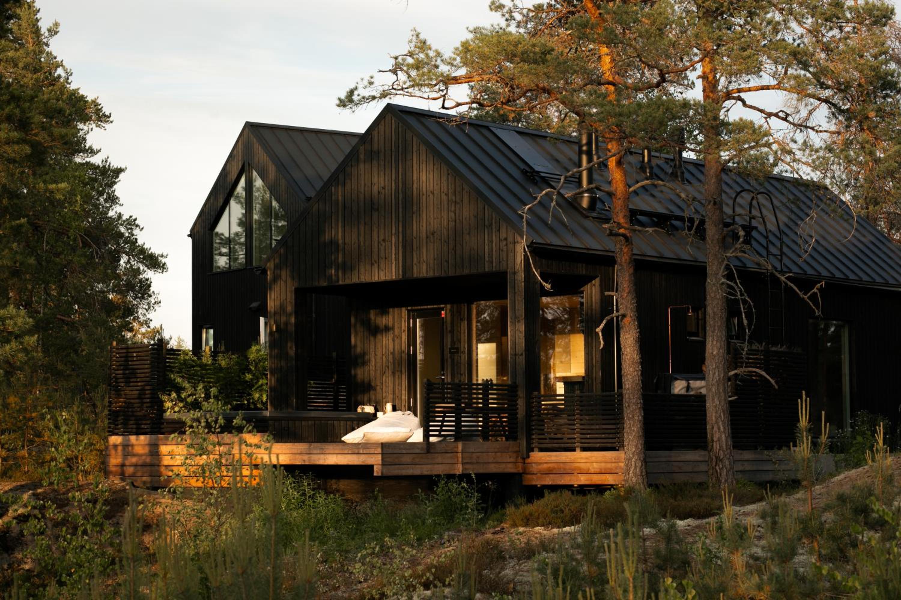 Hotel Hilltop Forest