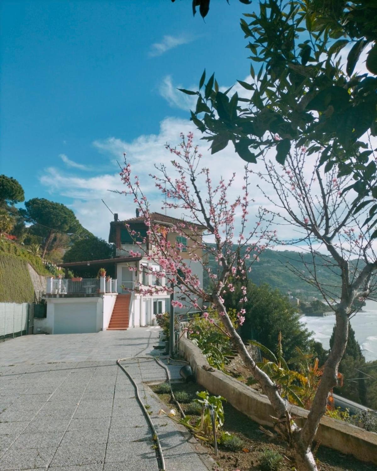 Hotel Appartamento Un Mare Di Fiori