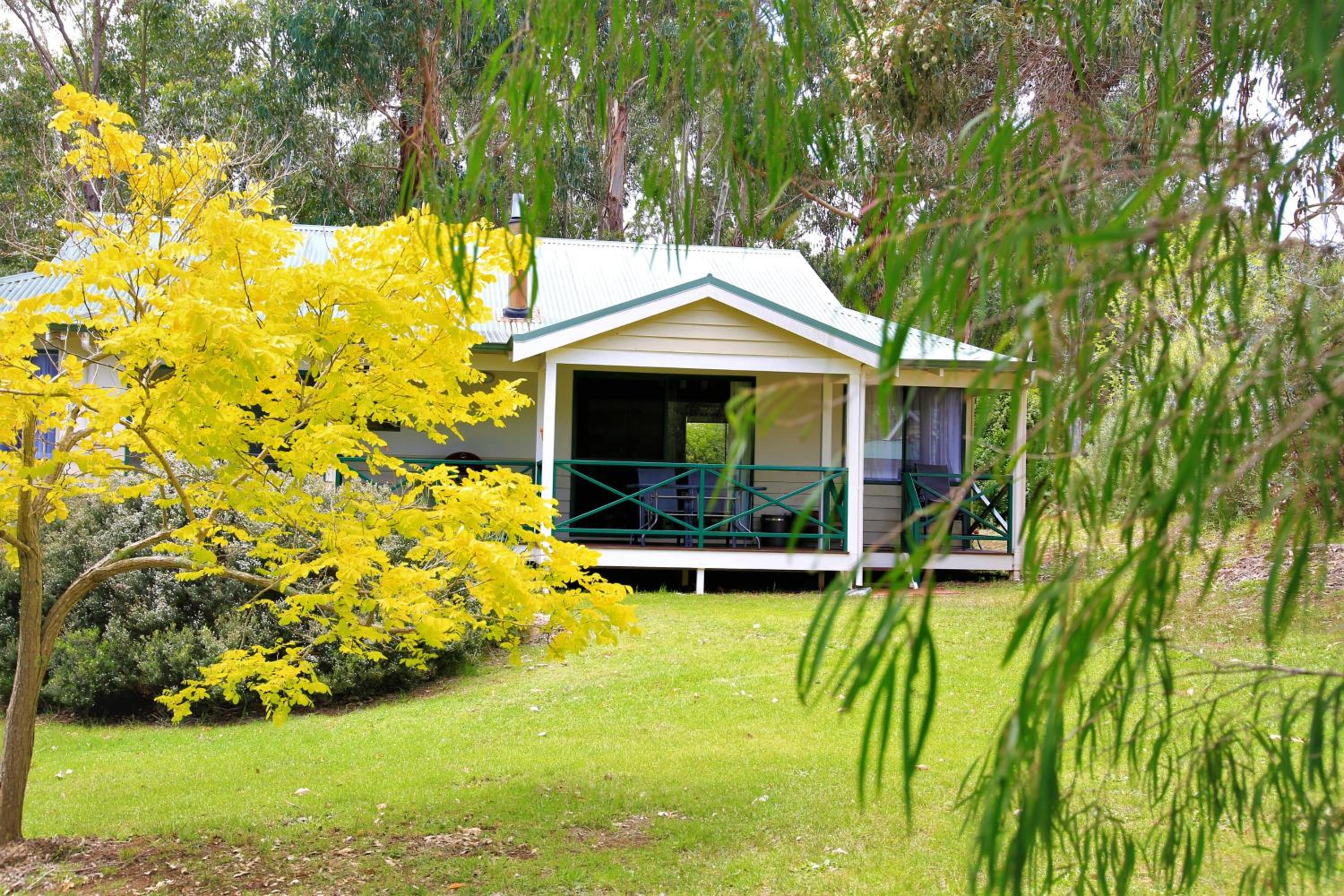Hotel Bushy Lake Chalets