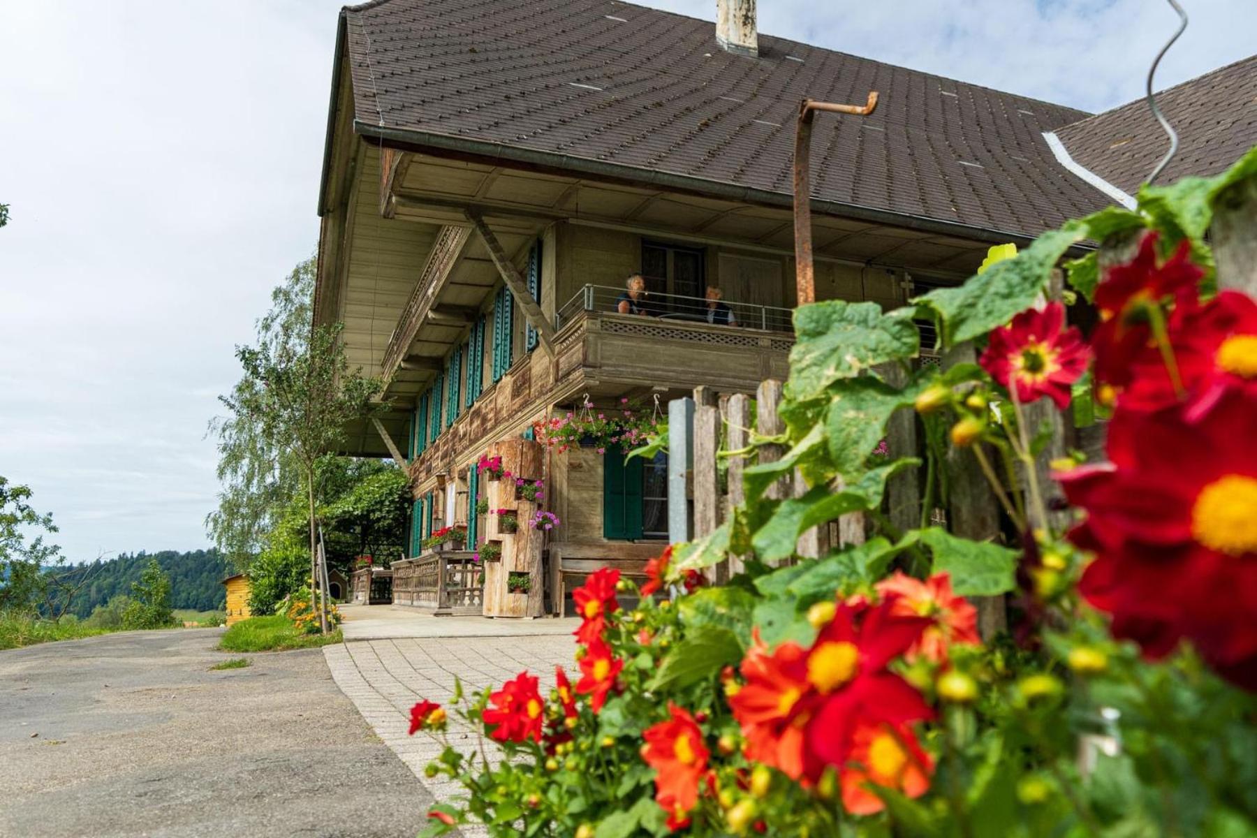 Hotel Schone Ferienwohnung Mit Hotpot Und Sauna