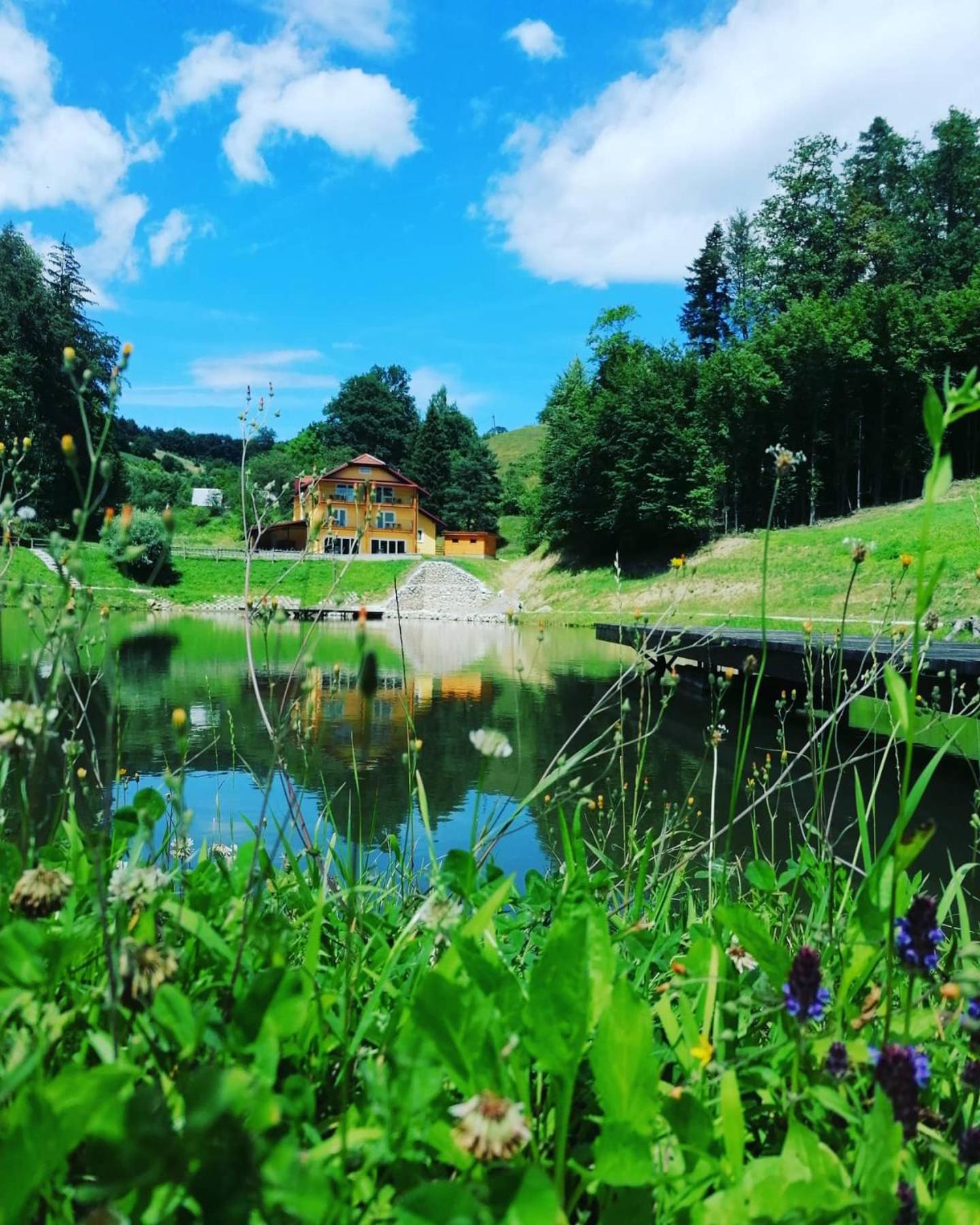Hotel Zelena Oaza
