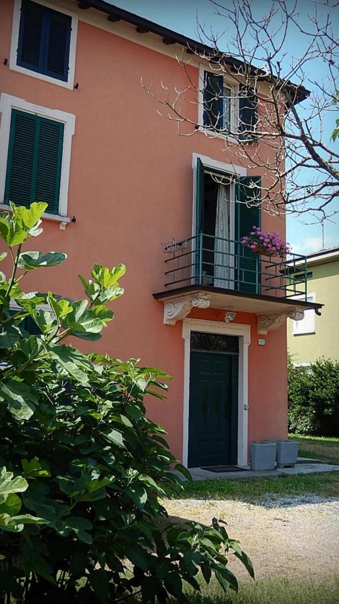 Hotel B&b Il Moro Selvatico