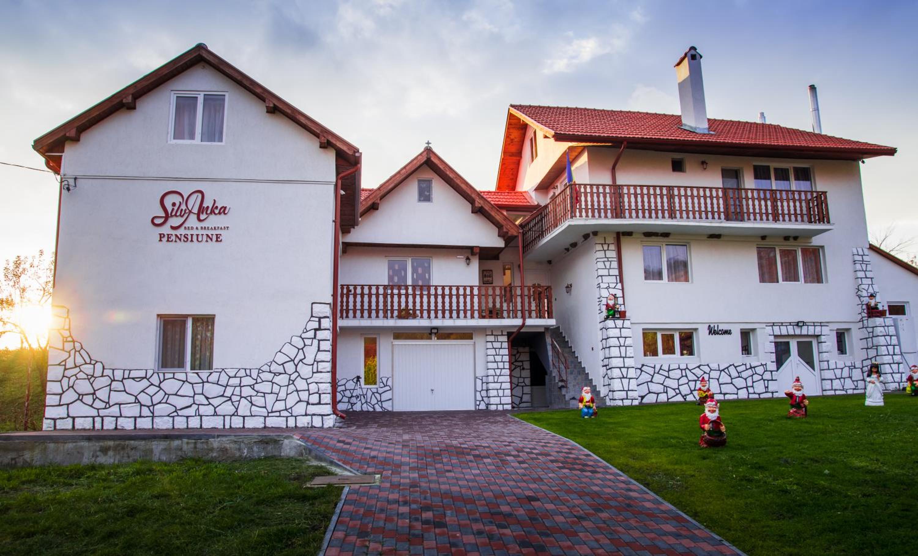 Hotel Pensiunea SilvAnka