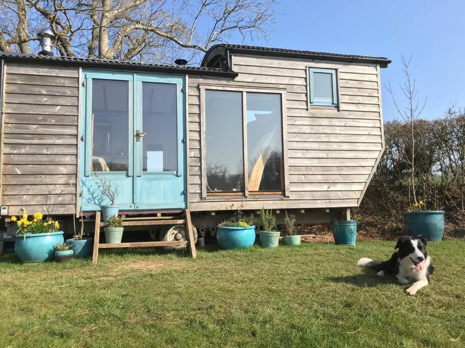 Hotel Secluded Shepherds Hut, With A View And Hot Tub