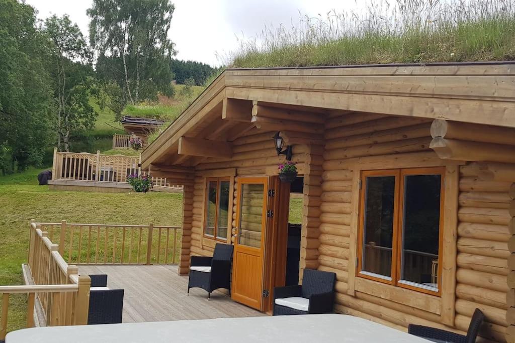 Hotel Orchid Lodge