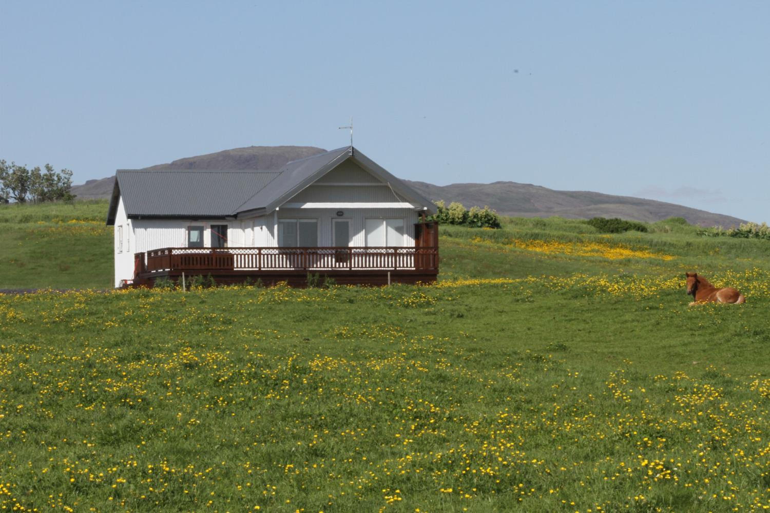 Hotel Stryta Guesthouse