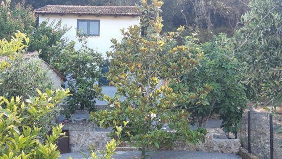 Hotel White Manolia Cottage