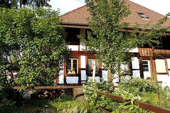 Hotel Hadassa Saba Jona