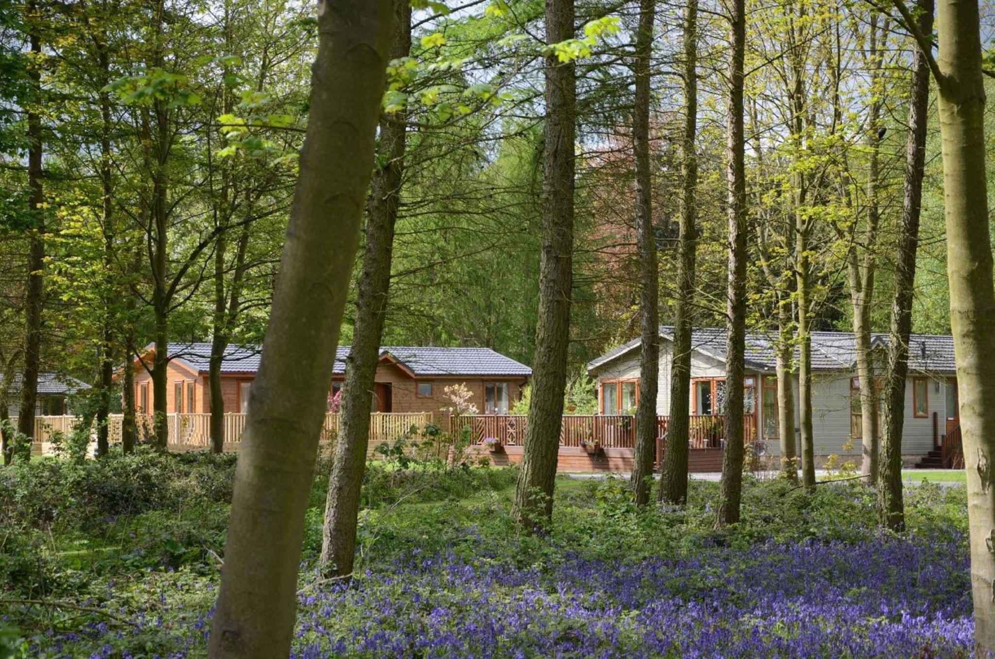 Hotel Hollicarrs - Wildflower Lodge