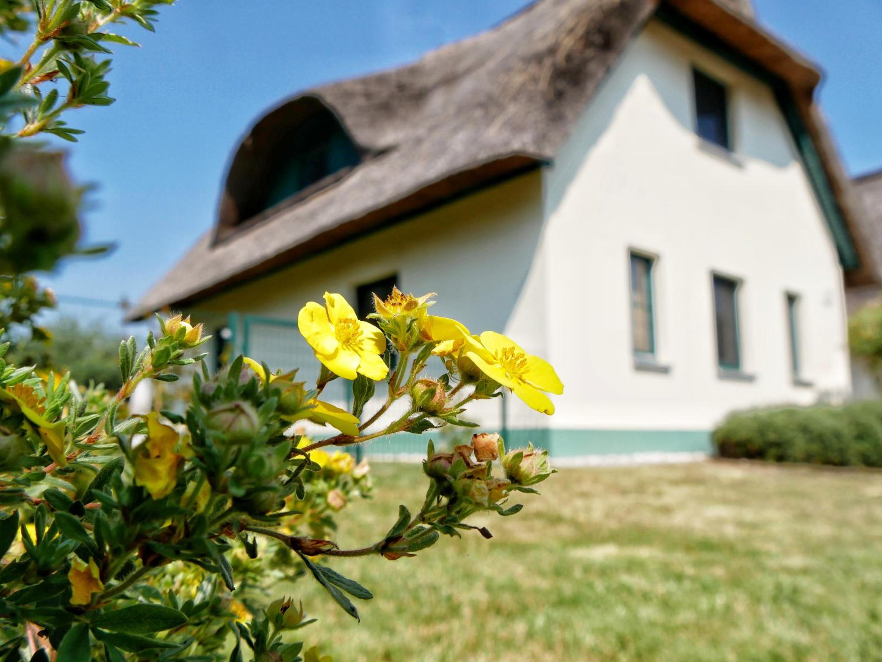 Hotel Ferienpark Scharmutzelsee