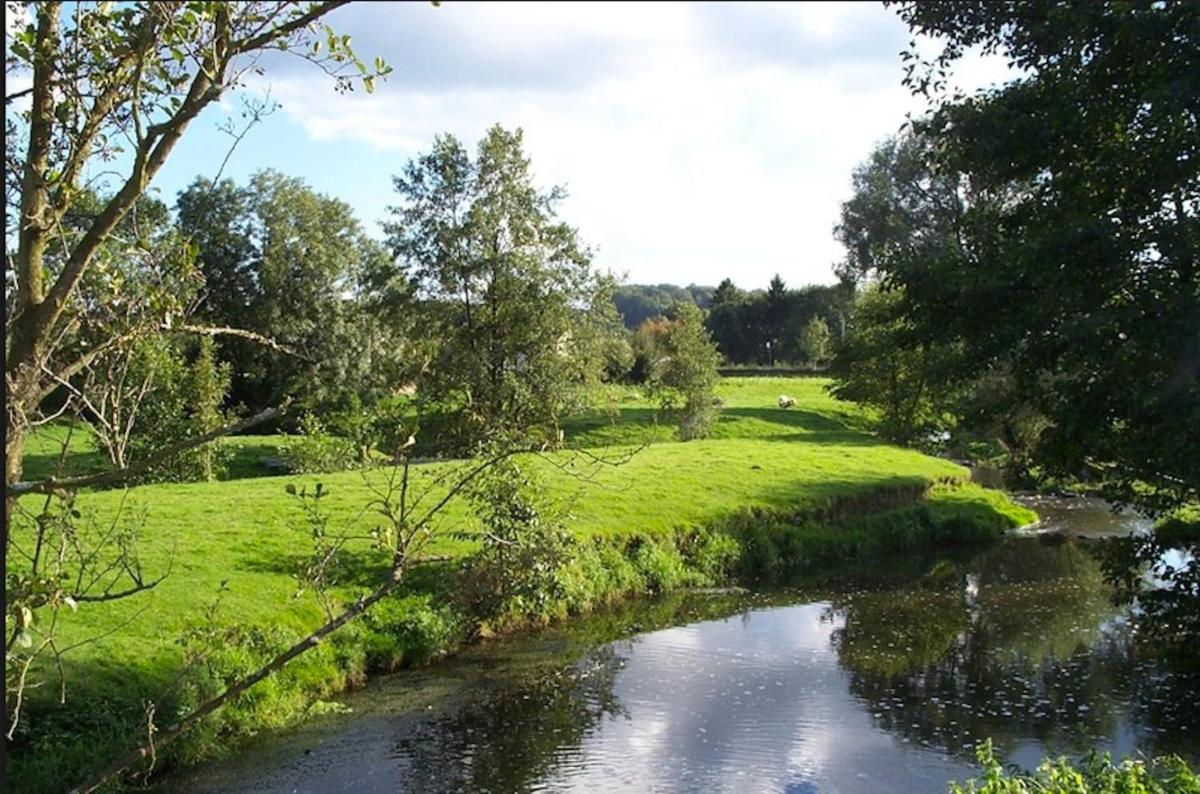 Hotel La Reine Des Pres