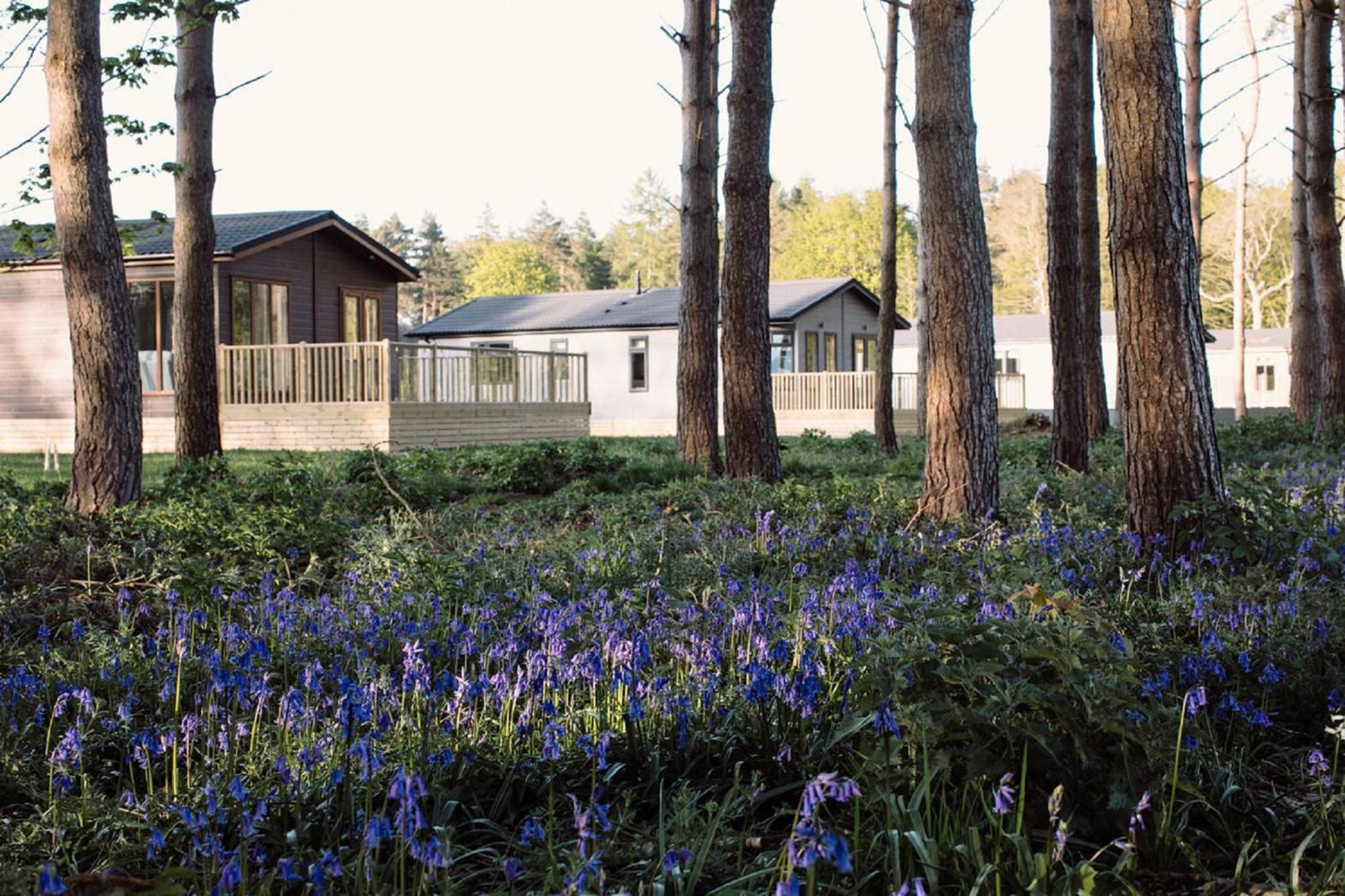 Hotel Hollicarrs - Stag Lodge