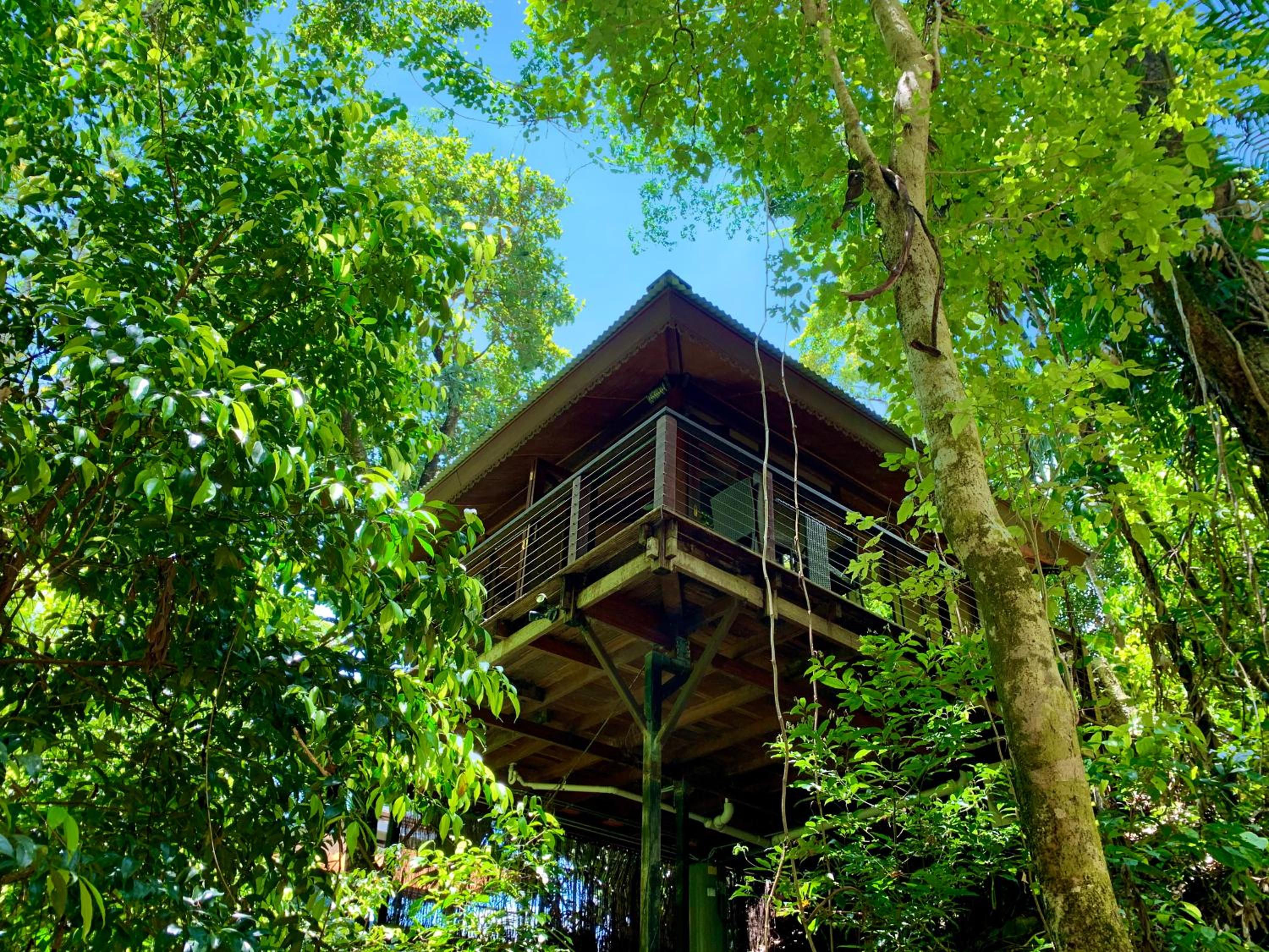 Hotel Cairns Rainforest Retreat
