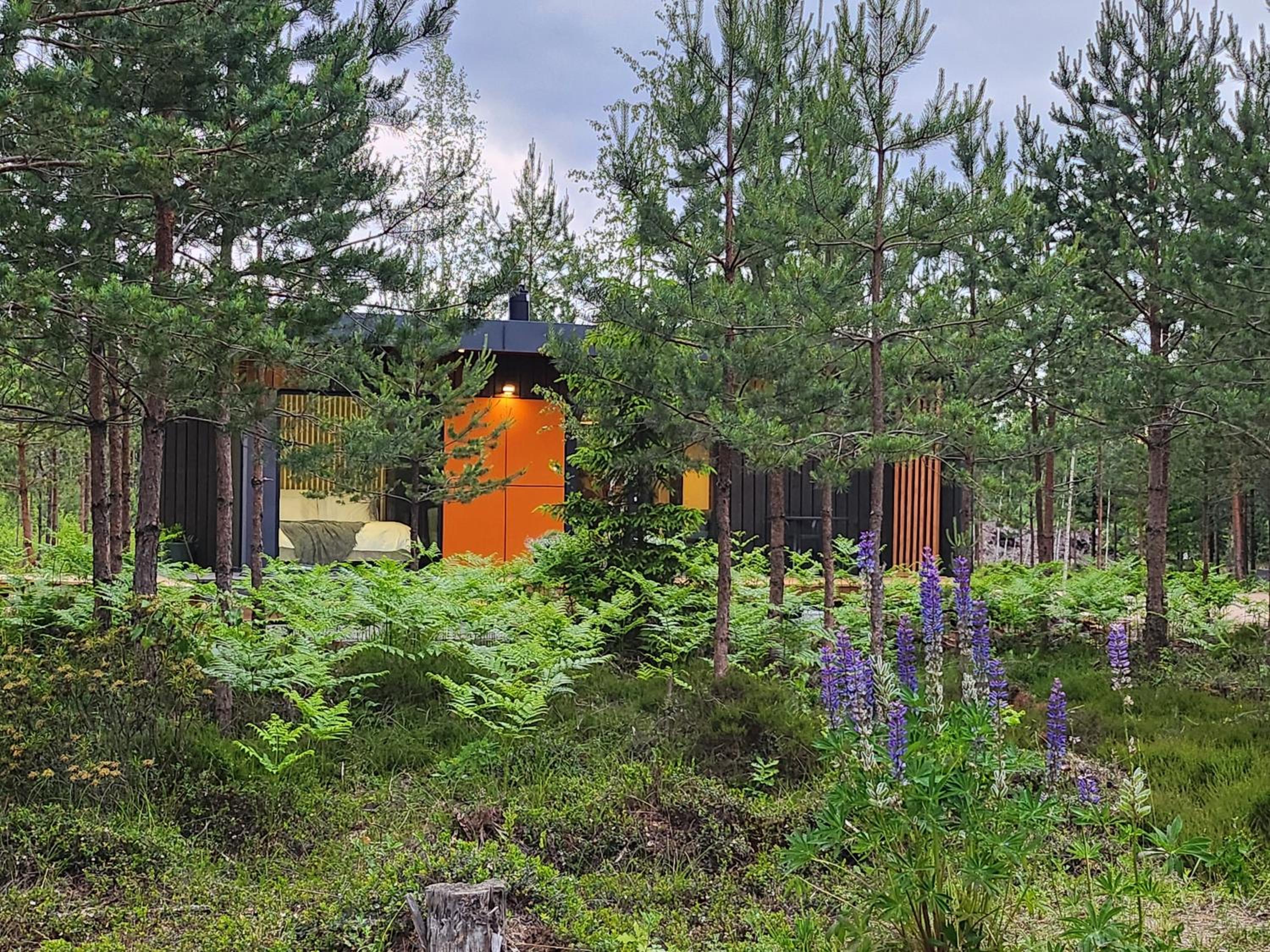 Hotel Forrest Glamp Saulkrasti