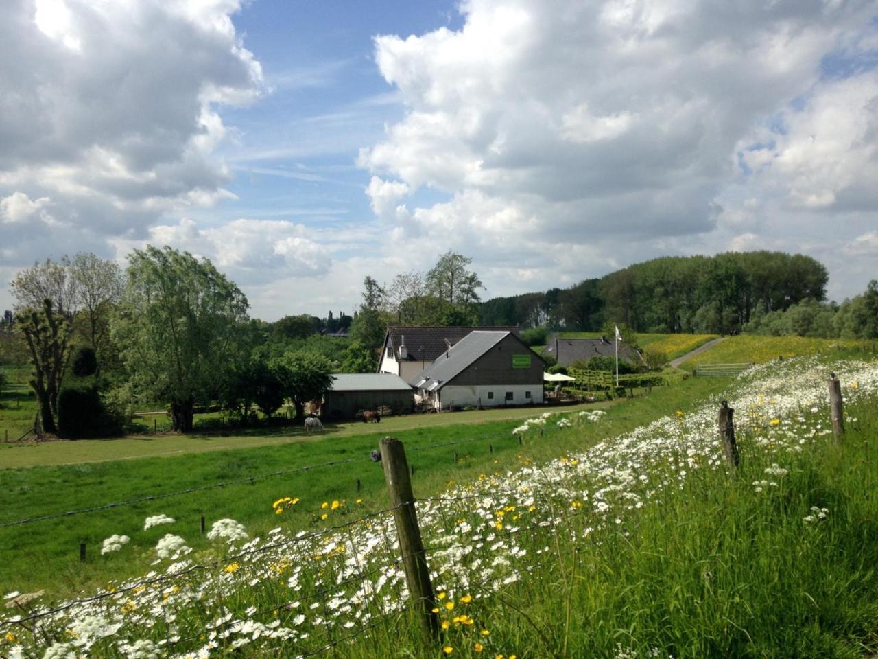 Hotel Dreumelse Waard