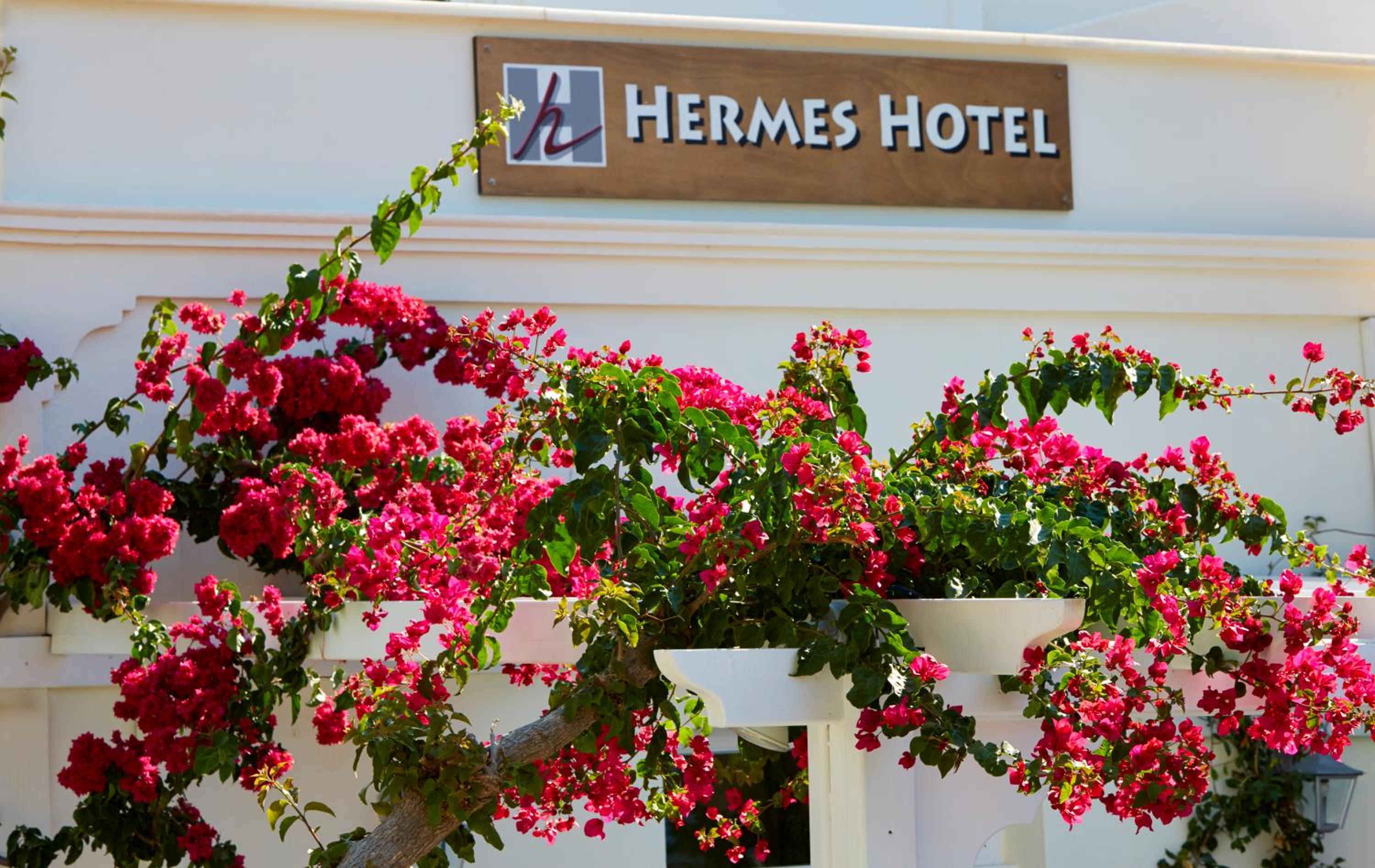 Hotel Hermes Hotel