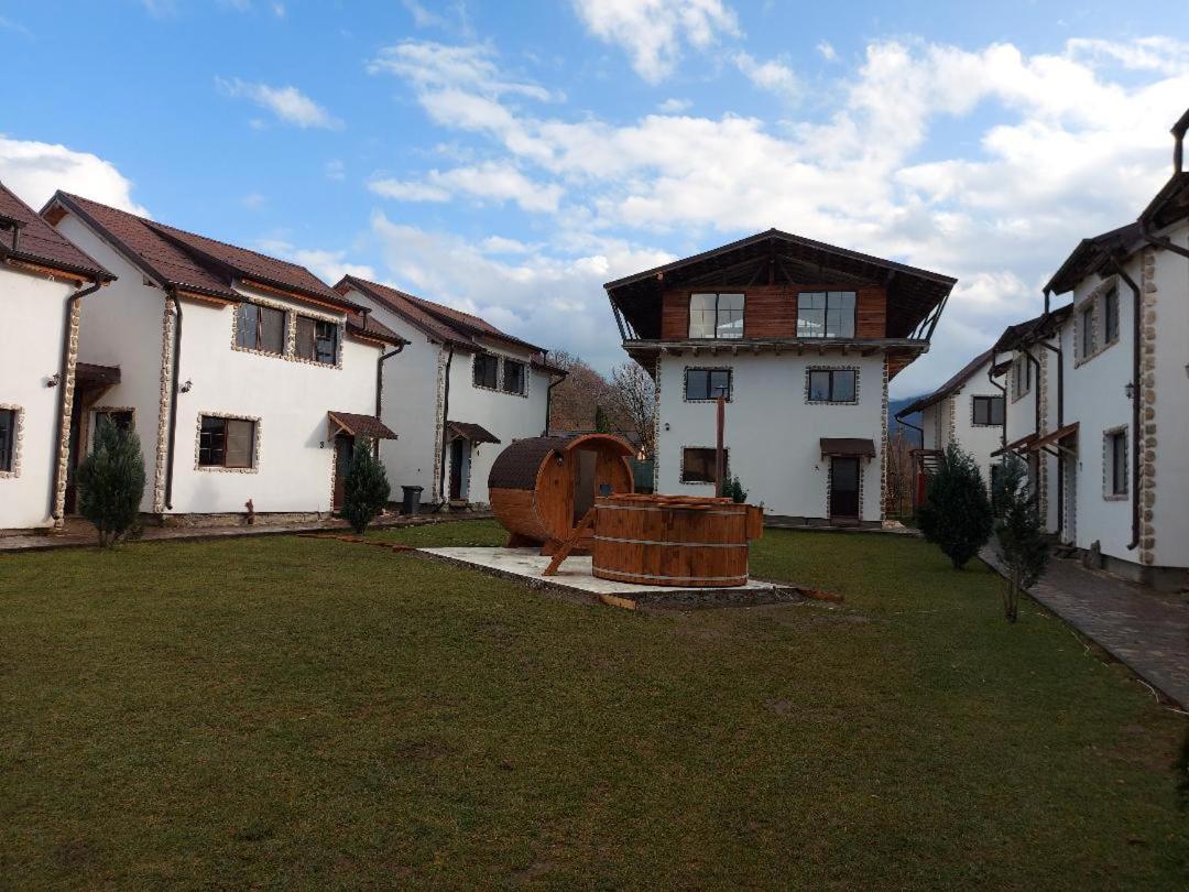 Hotel Domeniul Roa