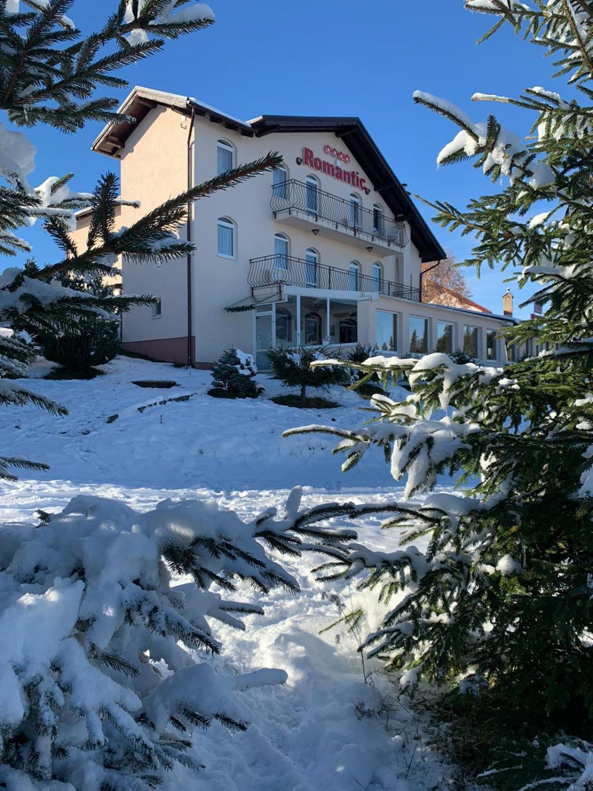 Hotel Pensiunea Romantic Belvedere Paltinis
