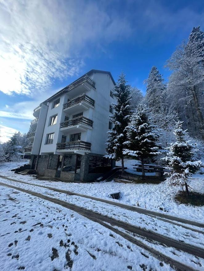 Hotel Vila Predeal Holidays