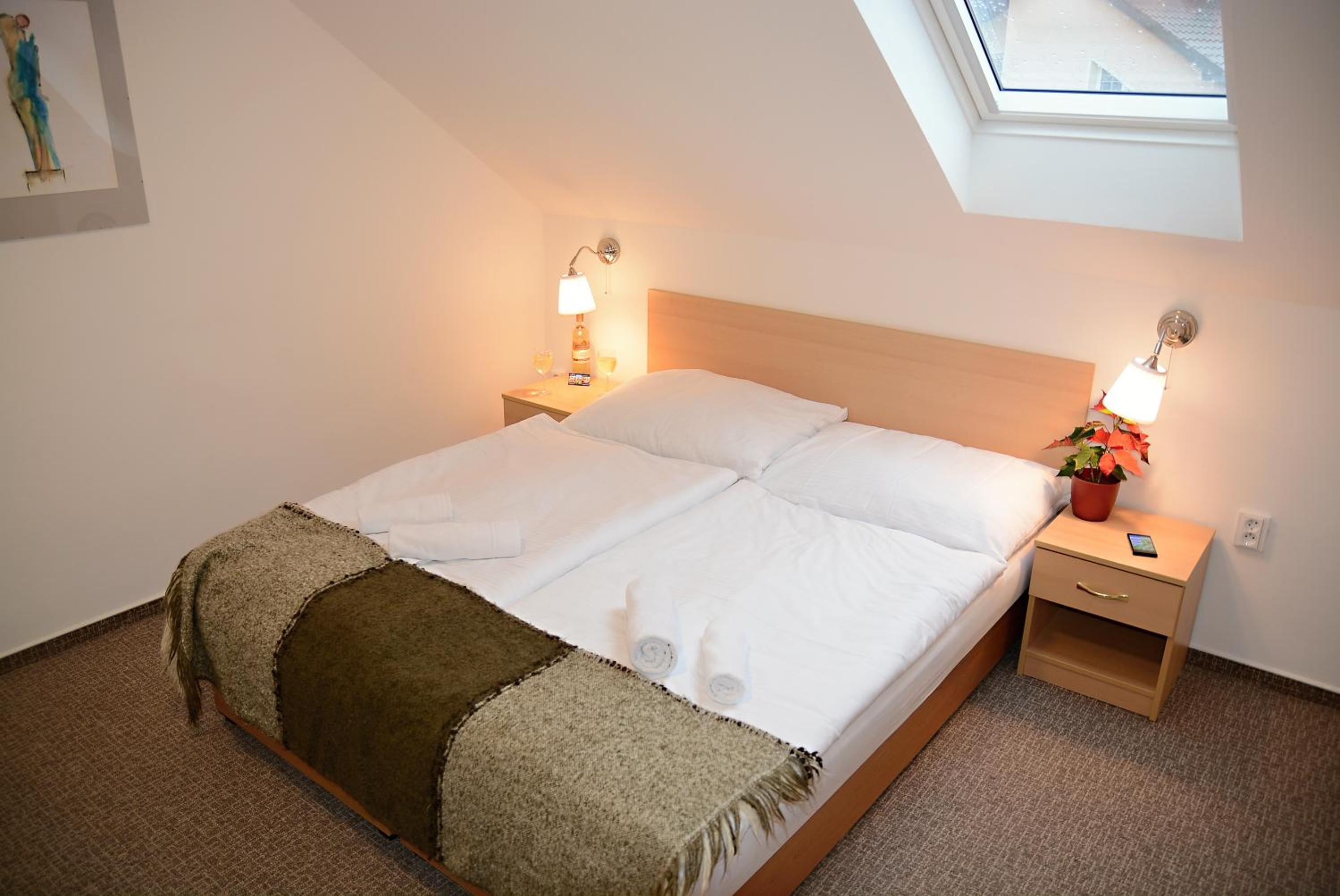 Hotel Wellness Vila Bohemia
