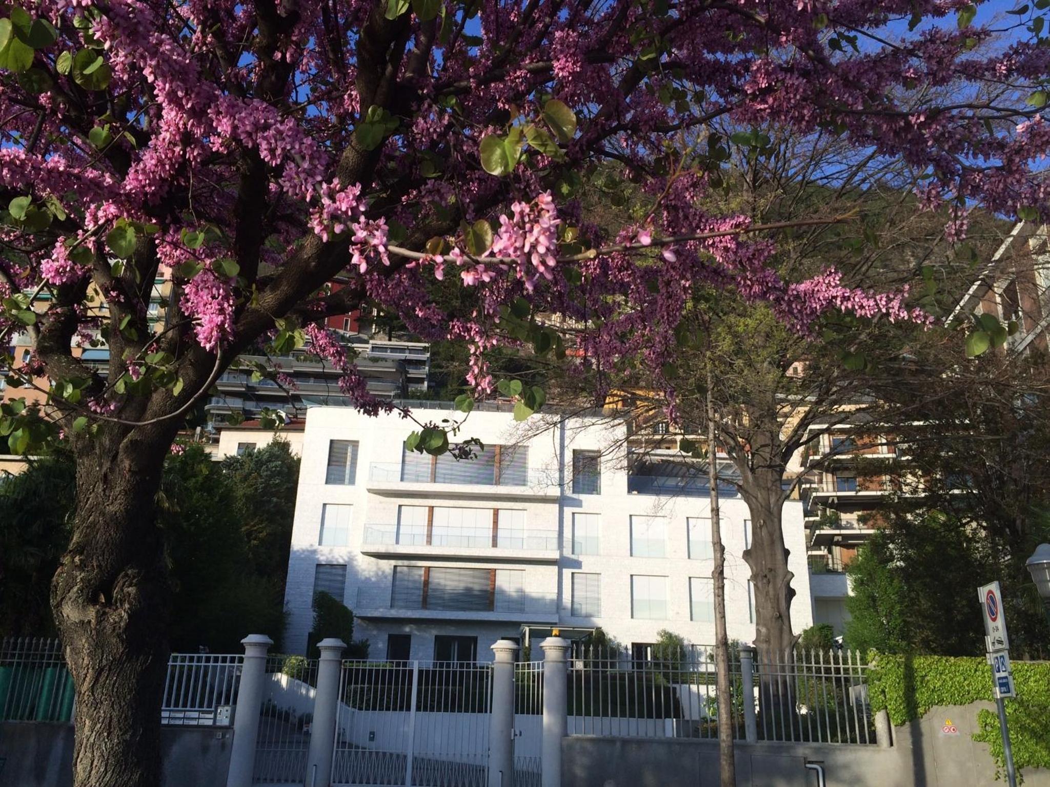 Hotel Villa Bianca