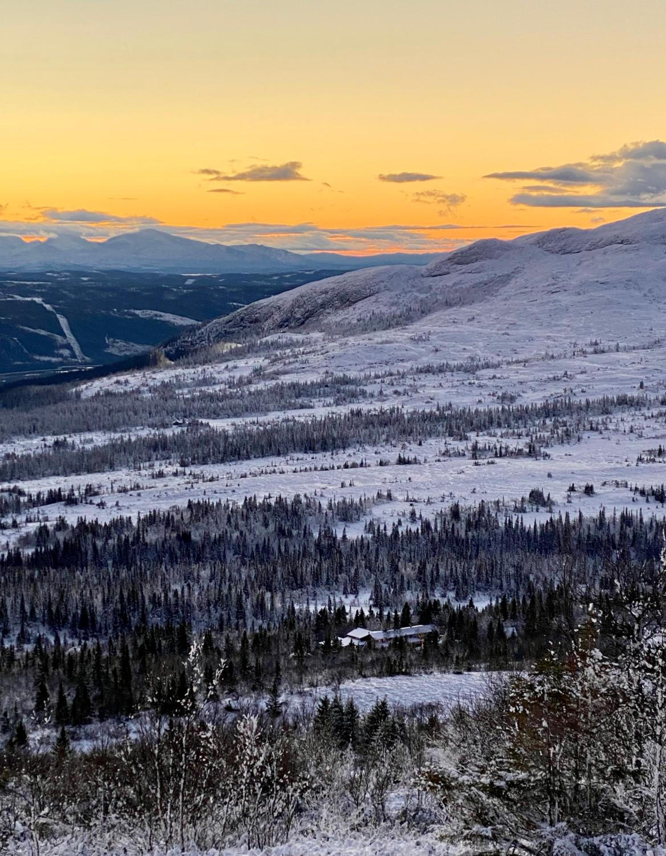 Hotel Buustamons Fjällgård