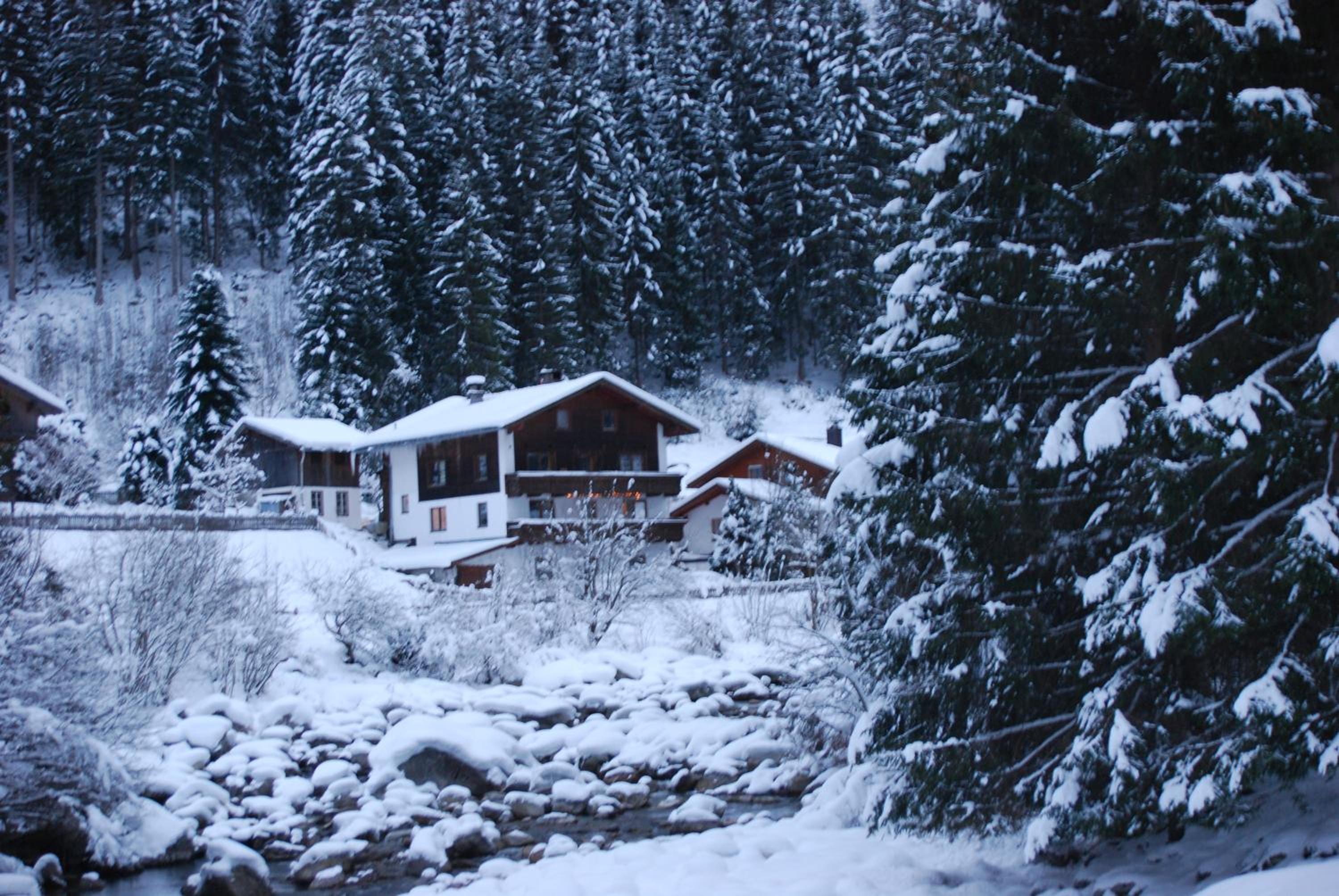 Hotel Backyard Mountain Hostel