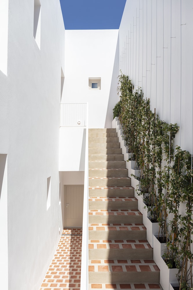 Hotel Ethos Vegan Suites