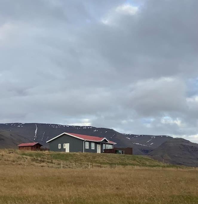 Hotel Holl Guesthouse