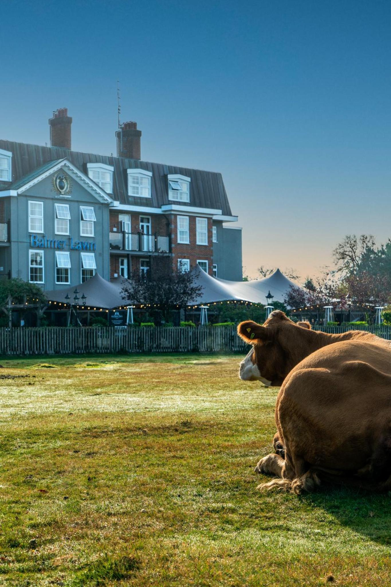 Hotel Balmer Lawn