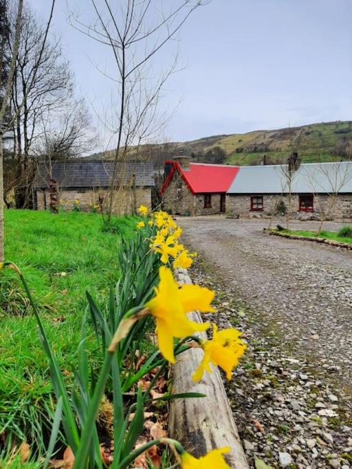 Hotel Caitrionas Cottages - Adult Only Pet Friendly - Hot Tub, Sauna, Pool - Sleeps 4