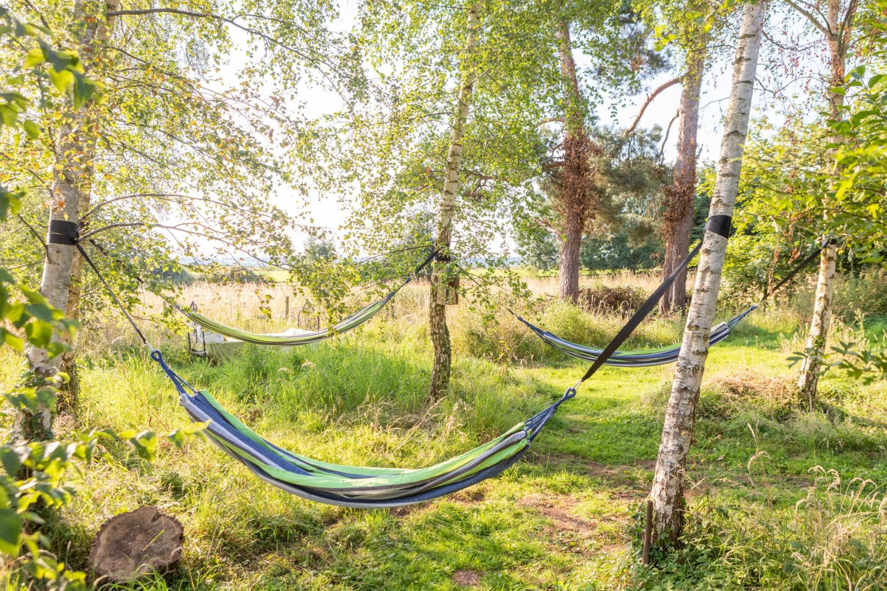 Hotel Orion 4-Person Lotus Belle Tent