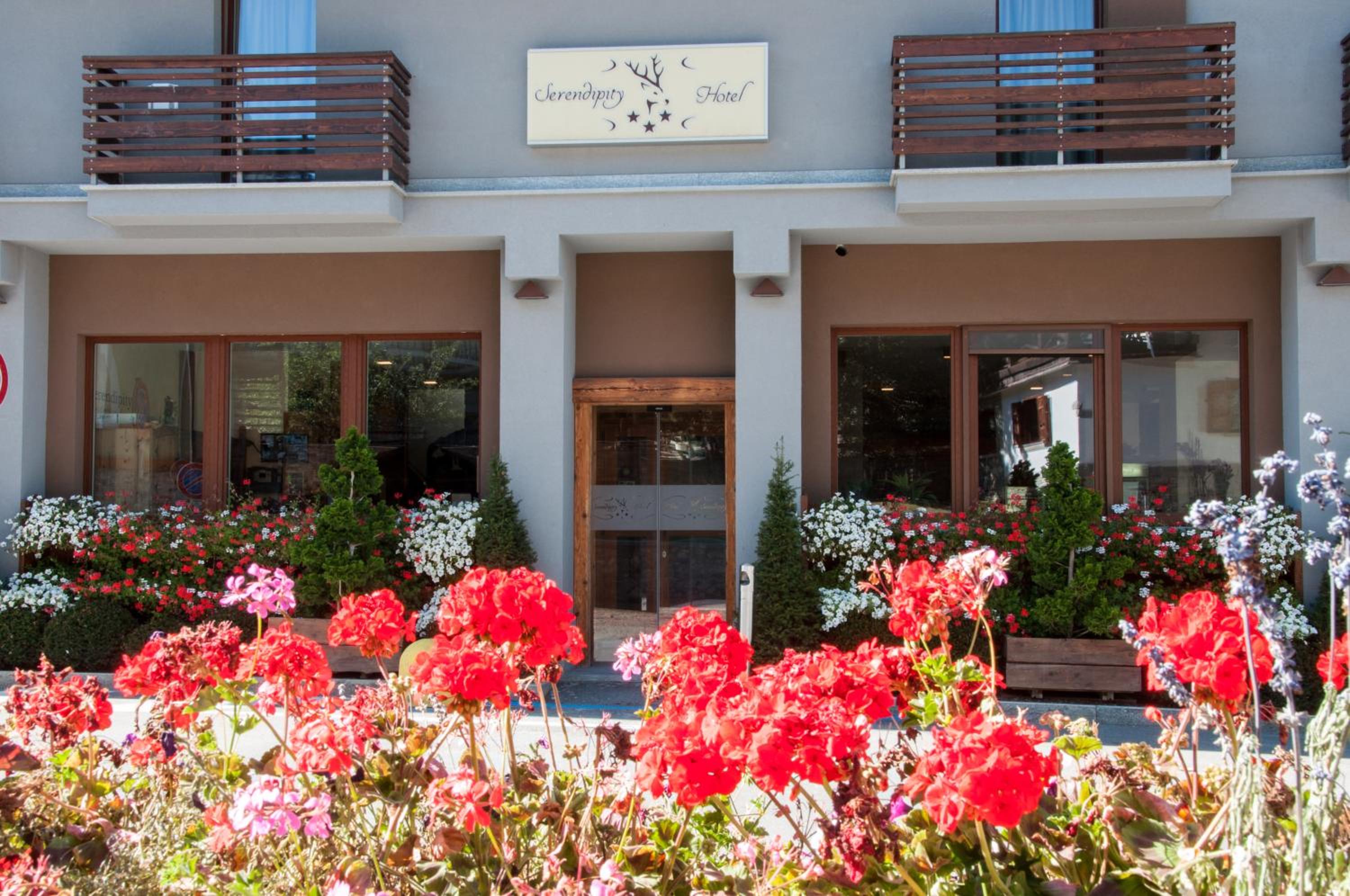 Hotel Serendipity Hotel