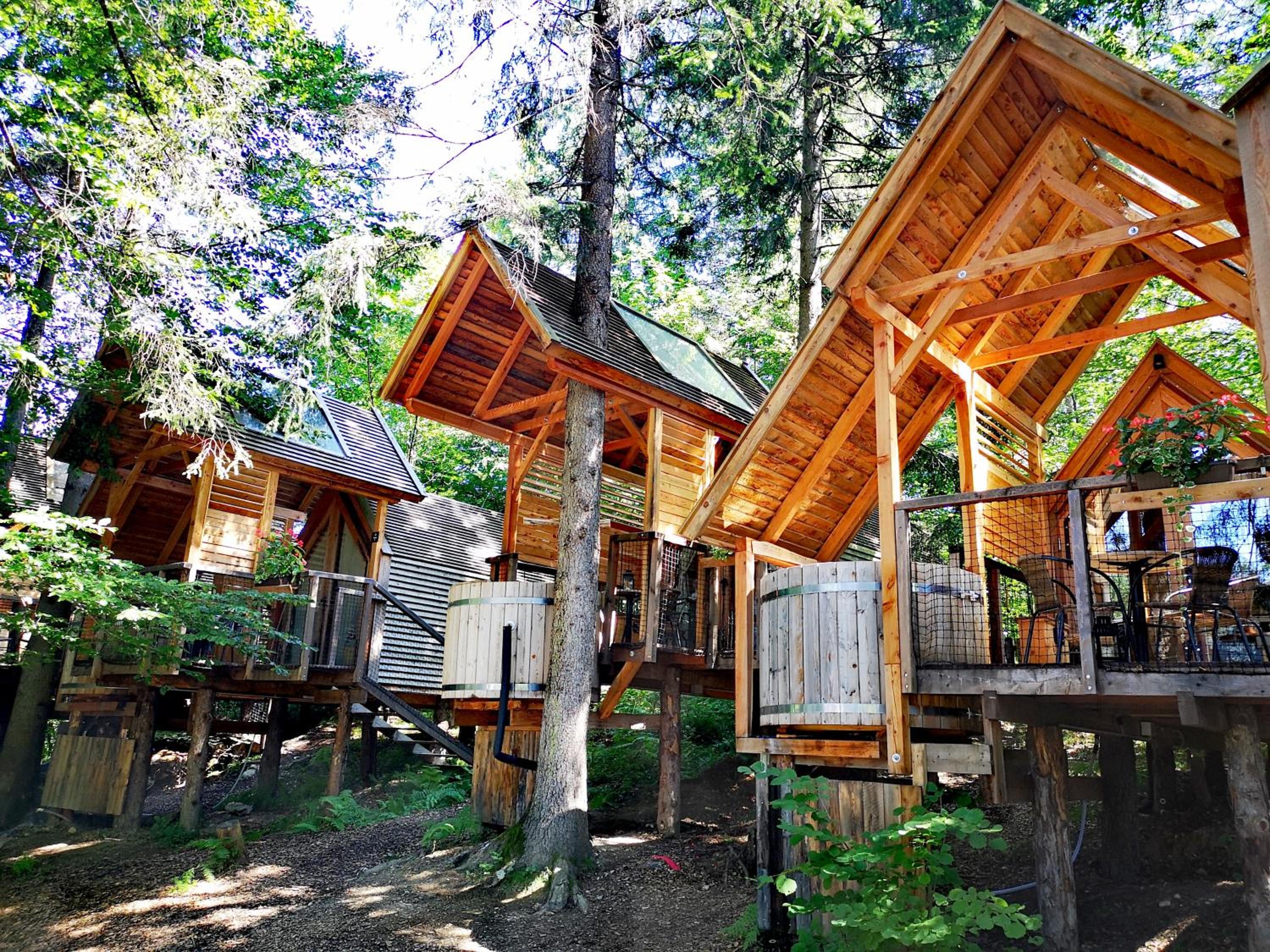 Hotel Glamping Ribno