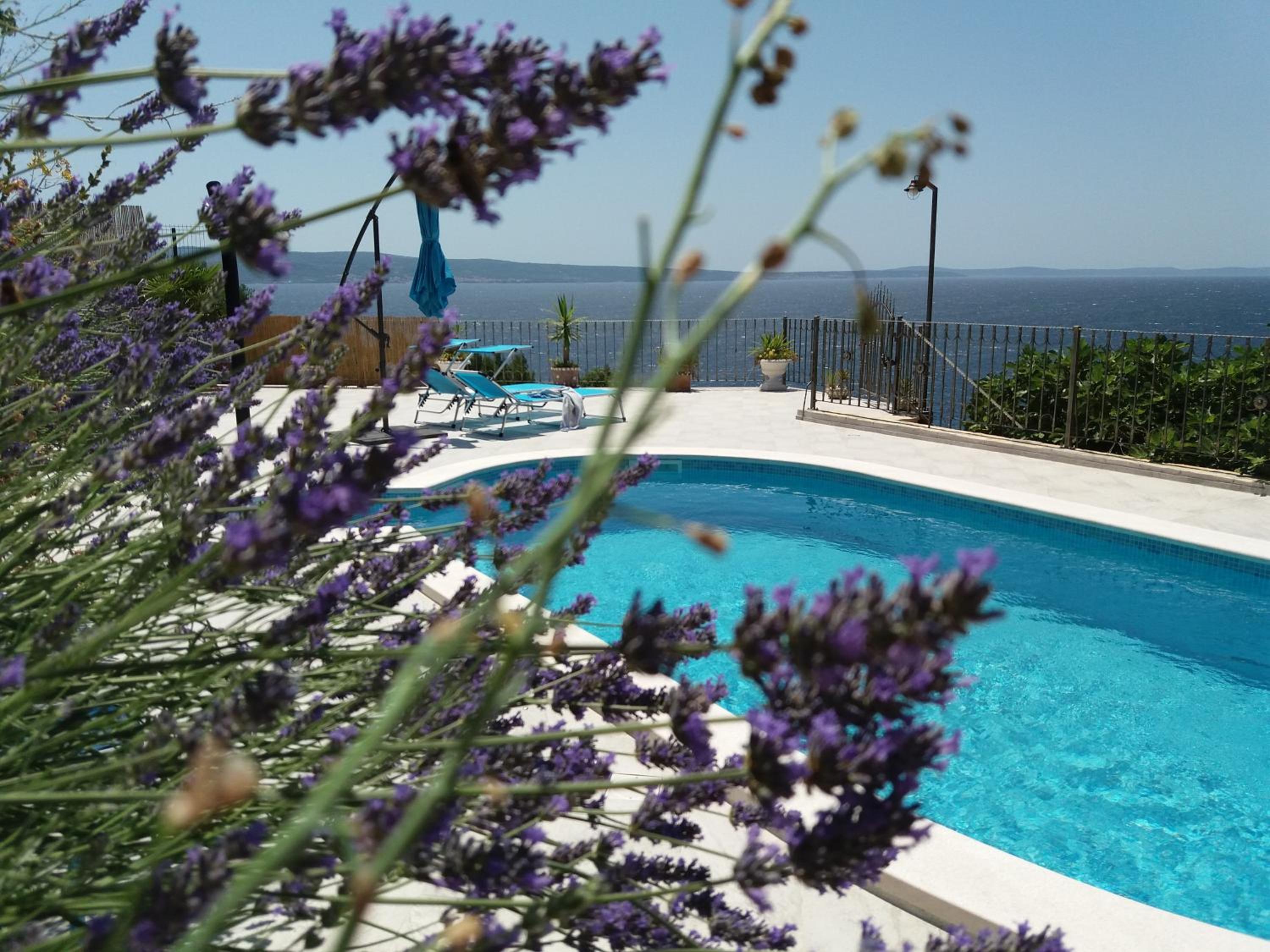 Hotel Blue View