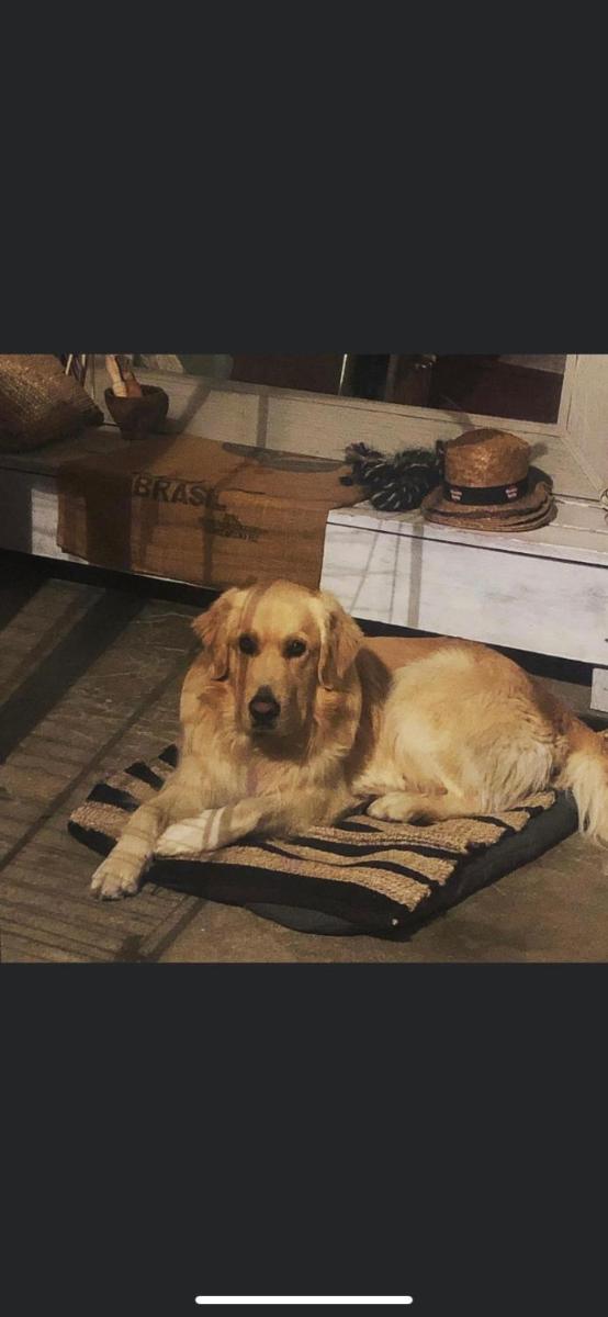 Hotel Le Mazet Chambre d'Hôtes